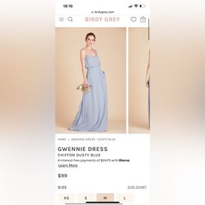 Birdy Grey Chiffon Dress Dusty Blue